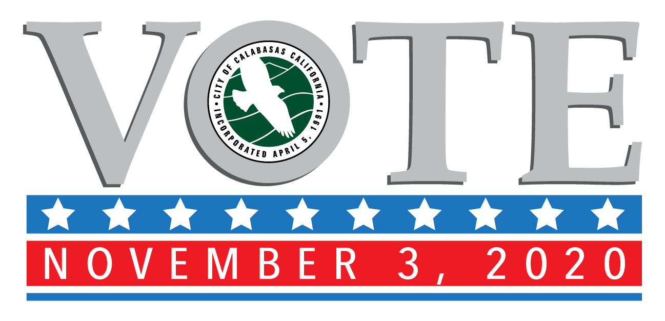 November 3 2020 Election Logo