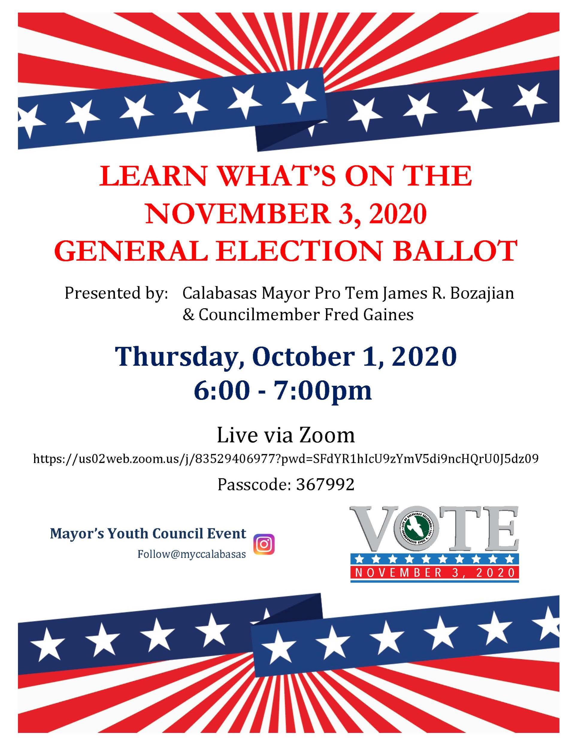 Young Voter Info Flyer