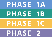 vaccine phases