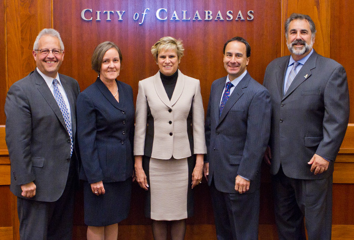 2015 City Council