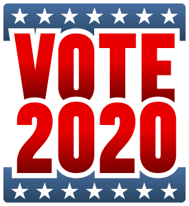 2020 Election Logo