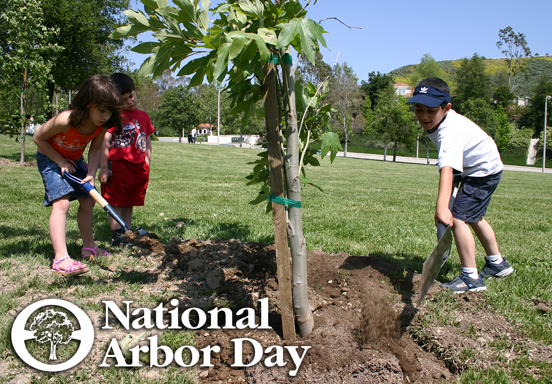 Arbor Day