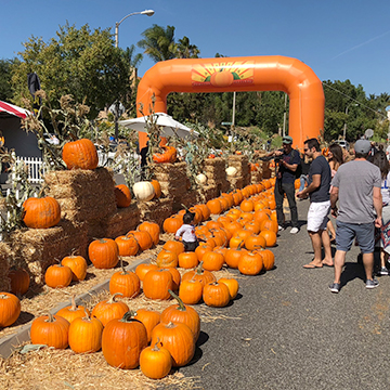 Pumpkin Fest