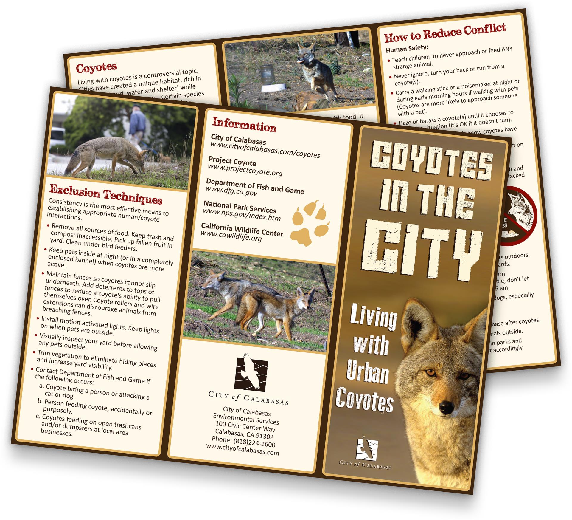 Coyotes in the City